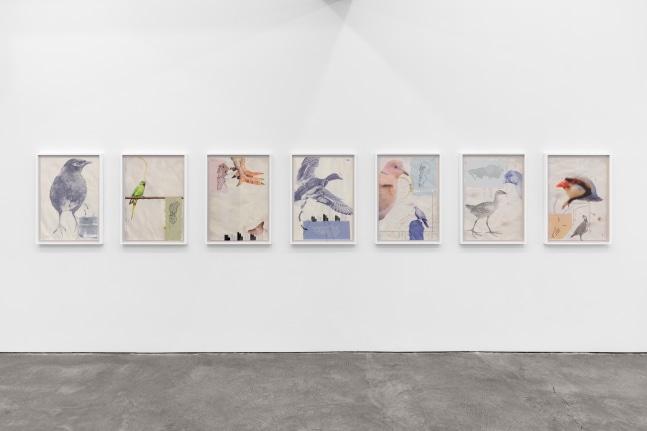 Walid Raad / The Atlas Group 1989-2004 (Attributed to Anonymous) We have never been so populated_Plate I-Plate VII, 1997 7 archival inkjet prints Overall dimensions: 33 1/4 x 203 7/8 x 1 3/4 in. (84.5 x 517.8 x 4.4 cm) Edition of 5, + 2 APs