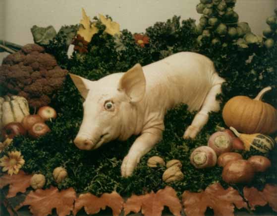 Robert Gober &quot;Untitled&quot; 1993-94 Photograph 4 1/4&quot; x 5 1/4&quot;