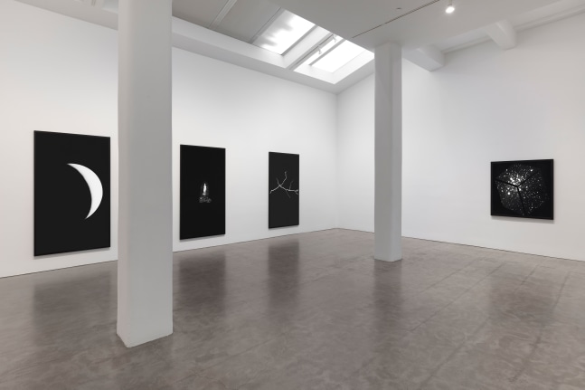 Installation view, Sarah Charlesworth, February 23 – March 23, 2019