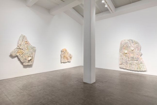 Installation view, Céleste Boursier-Mougenot, Liz Glynn, Robert Grosvenor, Justin Matherly, Paul Pfeiffer, April 4 – May 4, 2019