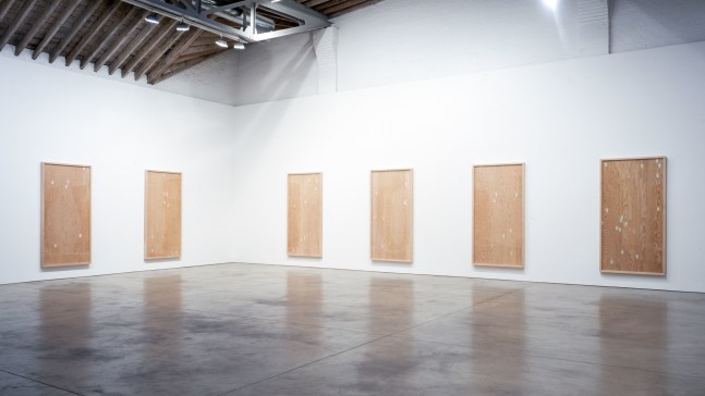 Installation view, New Work, Paula Cooper Gallery, 521 W 21st Street, New York. March 21 - April 19, 2003. © Zoe Leonard. Courtesy Paula Cooper Gallery, New York. Photo: Tom Powel.