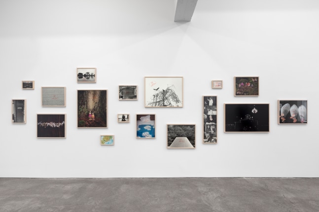Installation view, Sophie Calle, Bruce Conner, Paul Pfeiffer, Documents & Recitations, October 26, 2019 – February 6, 2020