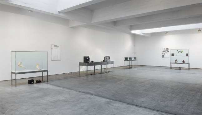 Installation view, Sam Durant, Paula Cooper Gallery, 521 W 21st Street, New York. March 31 - April 28, 2007. © Sam Durant. Courtesy Paula Cooper Gallery, New York.