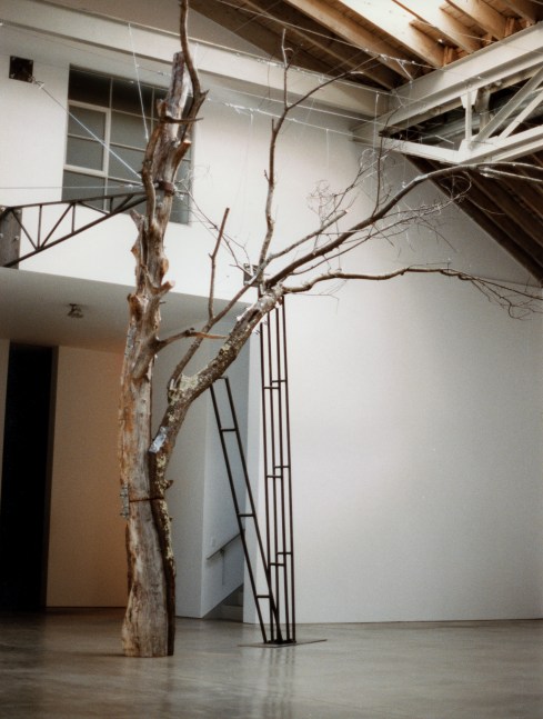 Installation view, Zoe Leonard, Paula Cooper Gallery, 534 W 21st Street, New York, September 10 - October 11, 1997. © Zoe Leonard. Courtesy Paula Cooper Gallery, New York. Photo: Tom Powel.