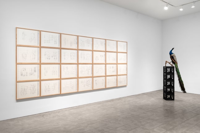 Terry Adkins, Audience (from Belted Bronze), 2007-08 28, framed drawings, 5 plastic milk crates, and taxidermy peacock