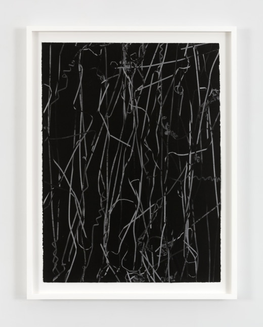 Christian Marclay Untitled (form the series Cassette Tape Duplication), 2012 Unique monoprint 30 x 22 in. (76.2 x 55.9 cm) frame: 34 x 26 1/4 x 1 3/4 in. (86.4 x 66.7 x 4.4 cm)