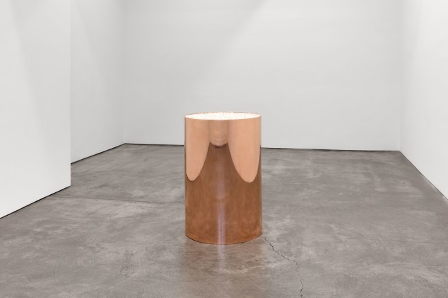 Installation view, Carl Andre & Meg Webster, February 20 – April 10, 2021
