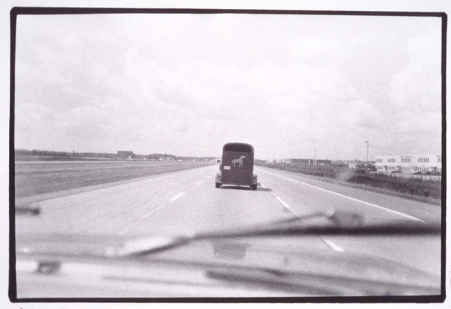 Zoe Leonard "Horse" 1994-97 Gelatin silver print 11 1/2" x 17"