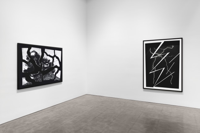 Installation view, Sarah Charlesworth, February 23 – March 23, 2019