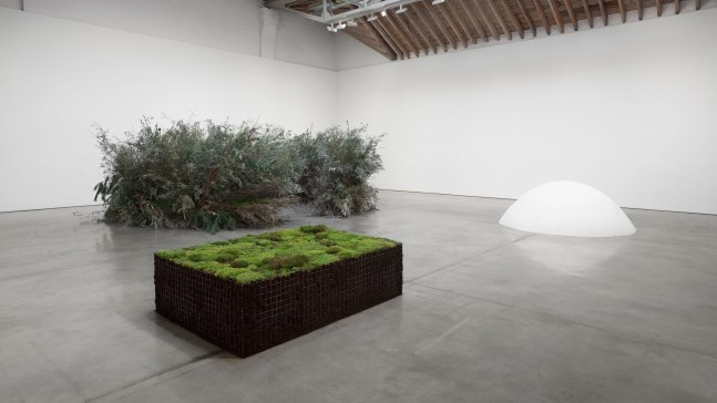 Meg Webster Meg Webster, Installation view, Paula Cooper Gallery, 534 W 21st Street, New York, NY, May 7 - June 24, 2016