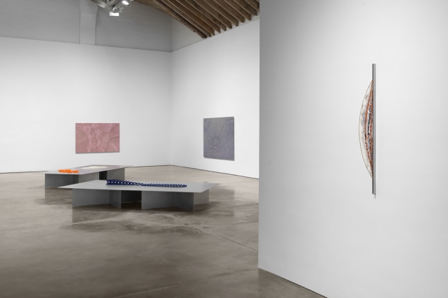 Installation view, Tauba Auerbach: Free Will, Paula Cooper Gallery, New York, March 18 - April 22, 2023. Photo: Steven Probert