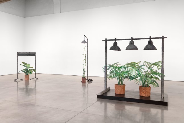 Installation view, Evan Holloway, March 23 – April 22, 2017