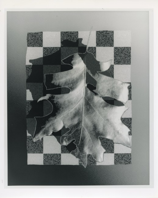 Peter Campus &quot;decay&quot; 1991 Digital photograph 24&quot; x 20&quot; sheet