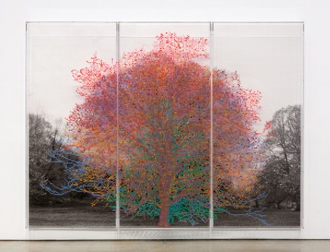 Charles Gaines Numbers and Trees, Central Park, Series I: Tree #6, Rodney, 2015 acrylic, ink jet print, plexiglass 2 panels each: 95 x 42 x 5.75 in. (241.3 x 106.7 x 14.6 cm) center panel: 95 x 42 1/2 x 5.75 in. (241.3 x 108 x 14.6 cm) overall: 95 x 126 1/2 x 5.75 in. (241.3 x 549.9 x 14.6 cm)