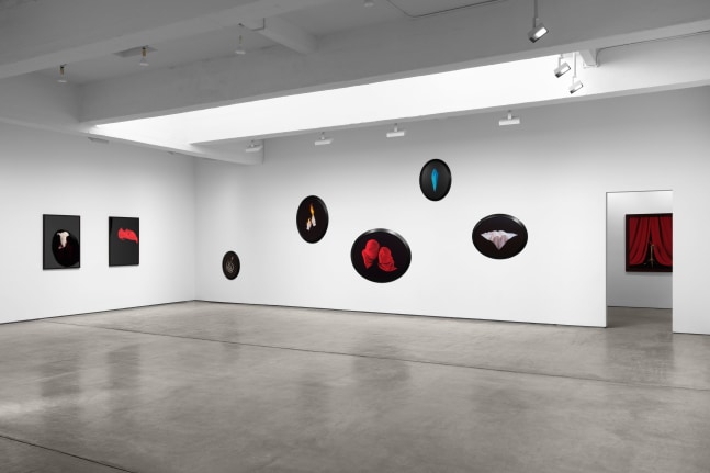 Installation view, Sarah Charlesworth: Desire and Seduction,  Paula Cooper Gallery, New York, February 20– March 29, 2025. © The Estate of Sarah Charlesworth. Courtesy Paula Cooper Gallery, New York. Photo: Steven Probert