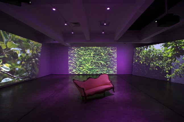 Installation view, Ja'Tovia Gary, flesh that needs to be loved, February 15 – August 17, 2020