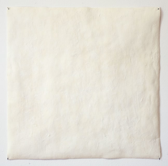 Meg Webster Corn Flour, 2006 cornflower, jade adhesive on arches paper 19 1/2 x 19 1/2 in. (49.5 x 49.5 cm)