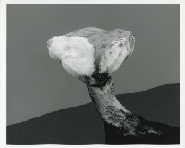 Peter Campus &quot;mushroom&quot; 1990 Digital photograph 20&quot; x 24&quot; sheet