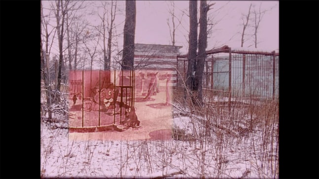 Amy O’Neill The Zoo Revolution, 2006-2019 16 mm transfer to HD video (color, sound); 4'30&quot; looped Edition 1 of 3, 1 APs