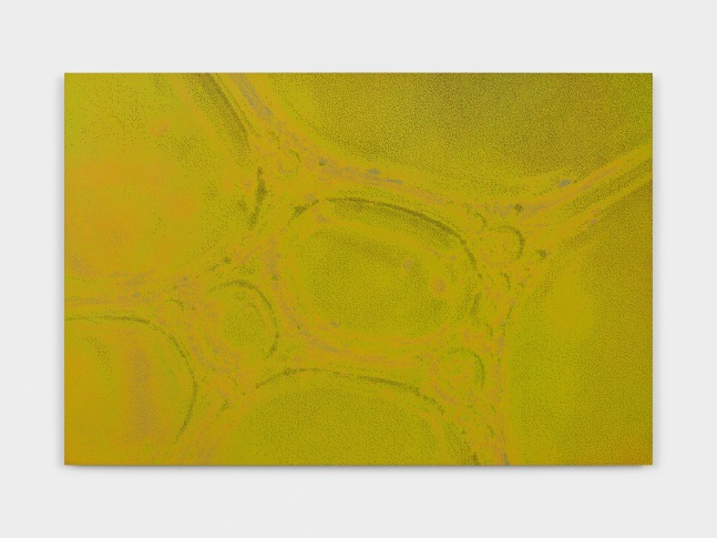 Tauba Auerbach 
Foam, 2023
acrylic on dibond
36 x 54 x 1 in. (91.4 x 137.2 x 2.5 cm)