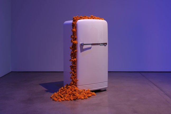 Installation view, Ja'Tovia Gary, You Smell Like Outside..., Paula Cooper Gallery, February 11 – March 11, 2023.