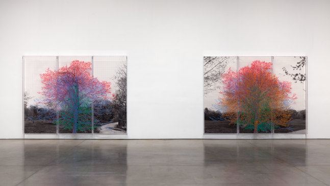 Installation view, Charles Gaines, March 31 – April 30, 2016