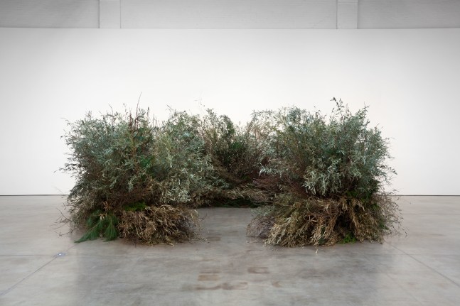 Installation view, Meg Webster, May 7 – July 12, 2016