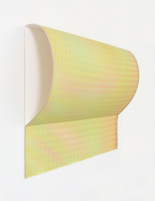 Jane Benson, System of Nature (Reflection VI), 2020 archival inkjet print on canvas mounted on paper and matboard