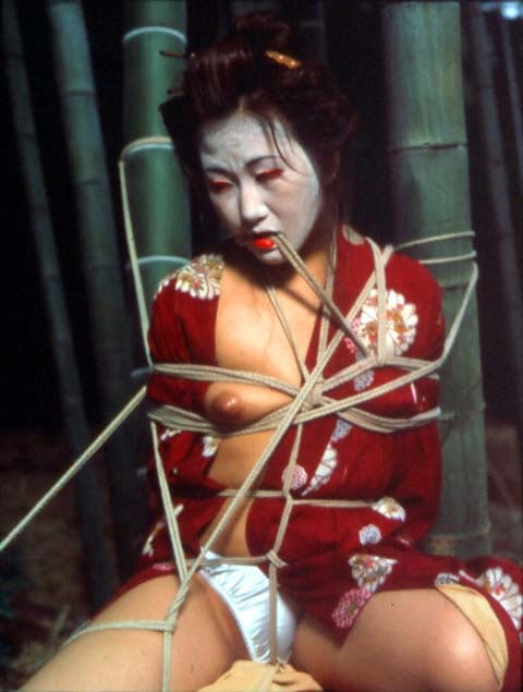 Andres Serrano "A History of Sex (Bondage in Kyoto)" 1996 Cibachrome, silicone, plexiglass, wood frame 60" x 49 1/2"
