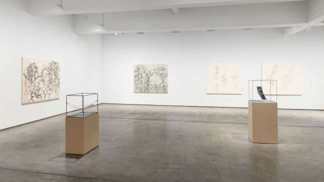 Installation view, Beatrice Caracciolo, Il Bosco Lontano, January 6 – February 3, 2018