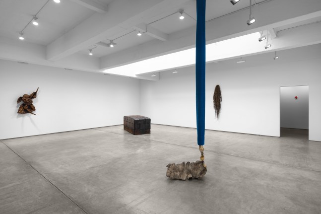 Installation view, Disparity, Paula Cooper Gallery, New York, April 12 – June 1, 2024. Photo: Steven Probert.