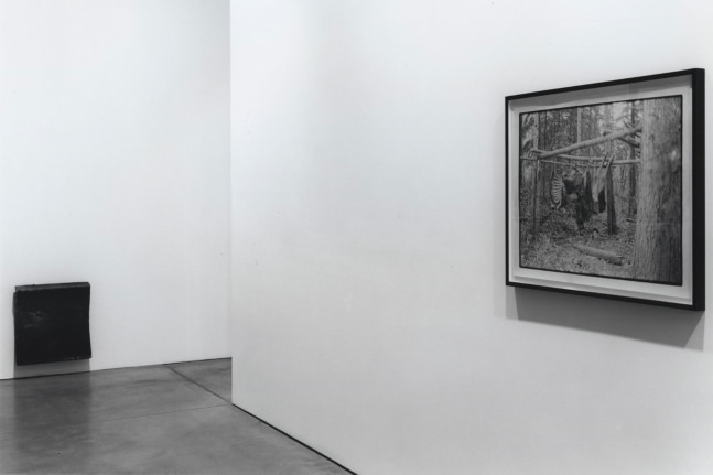 Installation view, Recent Photographs, Paula Cooper Gallery, 534 W 21st Street, New York. January 9 - February 13, 1999. © Zoe Leonard. Courtesy Paula Cooper Gallery, New York. Photo: Dorothy Zeidman.