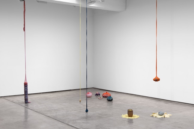 Installation view, Veronica Ryan: Along a Spectrum, April 2 – June 4, 2022, 521 W 21st Street