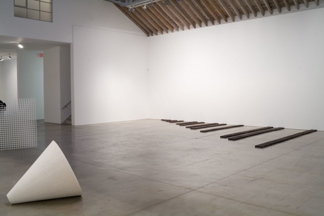 Carl Andre, Jennifer Bartlett, Sherrie Levine, Sol LeWitt, Joel Shapiro