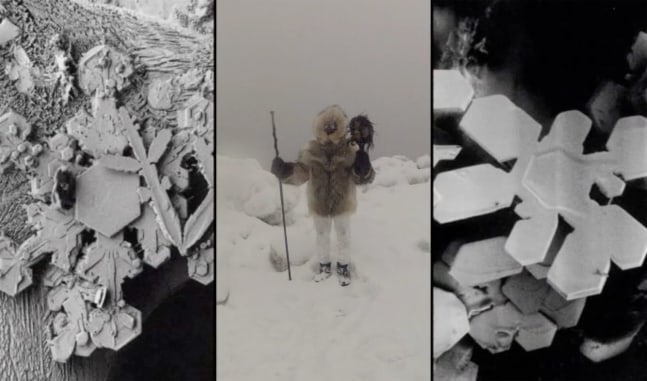 Terry Adkins Miy Paluk 1866, 2012 Single-channel digital video with sound (originally presented as a three-channel video on vertical flat-screen minotors) Duration time: 24:26 minutes