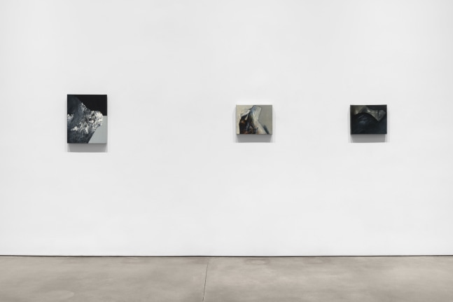 Installation view, Garnets on the Boulder, Jay DeFeo Paintings of the 1980s, Paula Cooper Gallery, New York, October 30 - December 13, 2025. &amp;copy; 2025 The Jay DeFeo Foundation/Artists Rights Society (ARS), New York. Courtesy Paula Cooper Gallery, New York. Photo: Steven Probert.