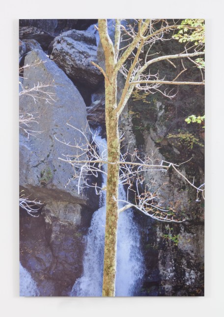 Hans Haacke Still Untitled, 2013 UV matte laminated color inkjet photo mounted on aluminum 72 x 48 x 1 in. (182.9 x 121.9 x 2.5 cm) Edition 1 of 3,  1 AP