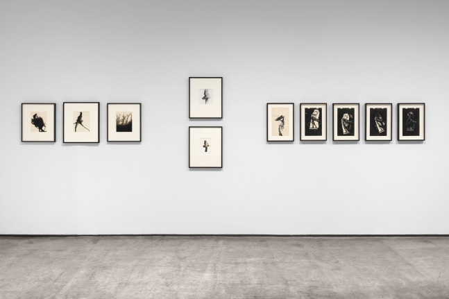 Installation view, Inventing Objects: Jay DeFeo’s Photographic Work, Paula Cooper Gallery, New York, September 9 – October 28, 2023.  © 2023 The Jay DeFeo Foundation/Artists Rights Society (ARS), New York. Photo: Steven Probert.