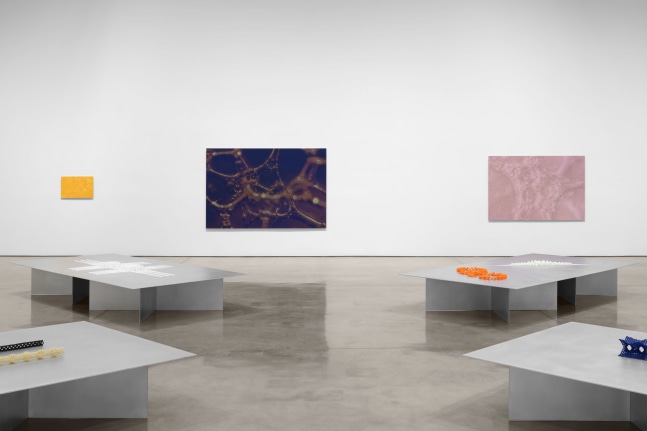 Installation view, Tauba Auerbach: Free Will, Paula Cooper Gallery, New York, March 18 - April 22, 2023. Photo: Steven Probert