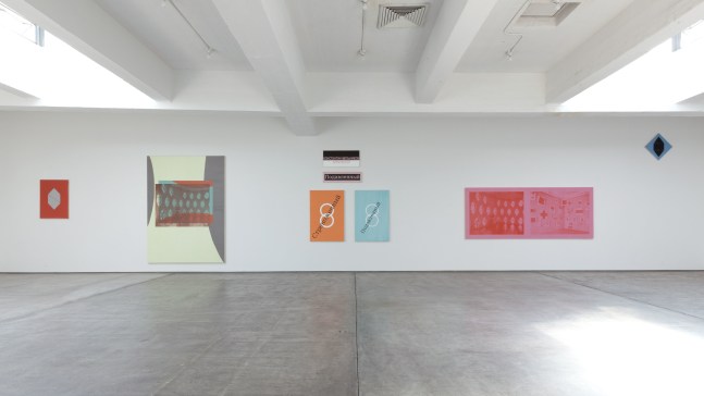 Installation view, Walid Raad and David Diao, September 22 – November 3, 2012
