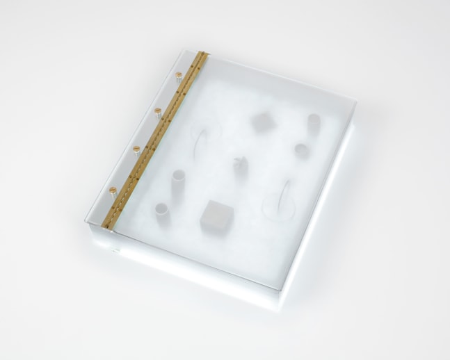 Tauba Auerbach Float, 2011 UV cured ink on 0.4mm polycarbonate with acrylic, brass closed: 12 1/4 x 10 1/4 x 2 1/2 in. (31.1 x 26 x 6.4 cm) Edition 8 of 8, + 2 APs