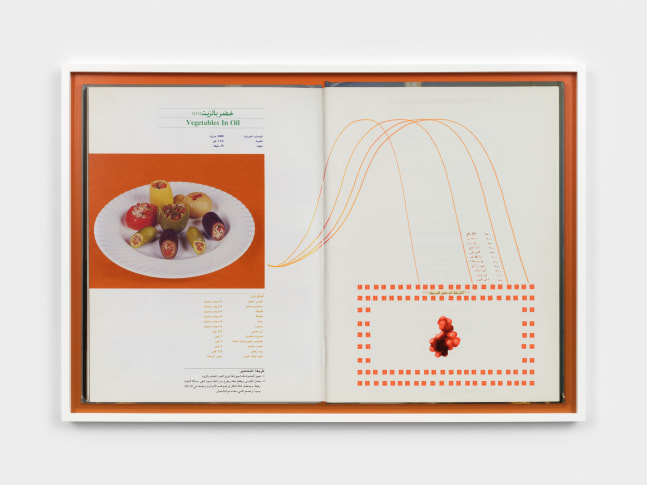 WALID RAAD / THE ATLAS GROUP The Bleeding Stomach (Vegetables in Oil), Attributed date: 2004, production date: 2023 Pigmented inkjet print print: 32 1/2 x 48 in. (86.4 x 121.9 cm) frame: 33 3/8 x 49 in. (84.8 x 124.5 cm)