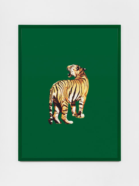 Sarah Charlesworth Tiger, 1985 Cibachrome with lacquered wood frame frame: 41 x 31 in. (104.1 x 78.7 cm) AP1, Edition of 3, + 2 APs
