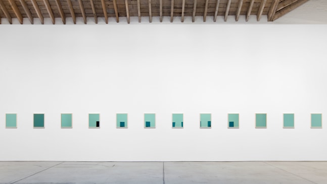 Installation view, Sherrie Levine, A Dazzle of Zebra, April 25 – June 8, 2012
