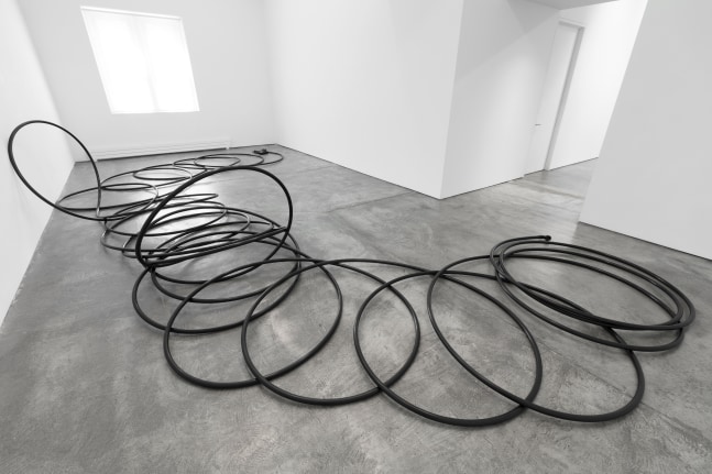 Christian Marclay Extended Phone II, 1994 telephone and plastic tubing dimensions variable
