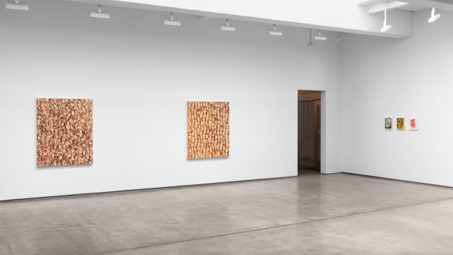 Installation view of paintings by Julian Lethbridge at Paula Cooper Gallery