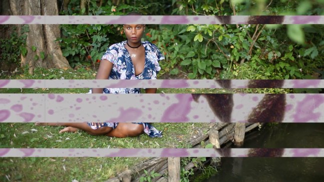 Ja'Tovia Gary Giverny I (NEGRESSE IMPERIALE), 2017 (still) film, 6 minutes, color single-channel video, stereo sound, HD and SD video footage 6 minutes, looped, color/black & white 1920 x 1080, 16:9 aspect ratio, dimensions variable Edition of 5, 2 APs