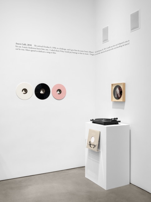 Installation view, Sophie Calle: On the Hunt, Paula Cooper Gallery, New York, September 5 – October 18, 2025. © 2025 Sophie Calle / Artists Rights Society (ARS), New York / ADAGP, Paris. Courtesy of Sophie Calle and Paula Cooper Gallery, New York. Photo: Steven Probert