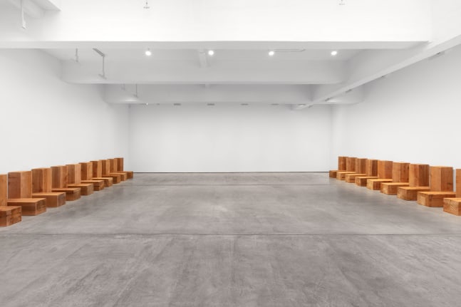 Installation view, Carl Andre & Meg Webster, February 20 – April 10, 2021
