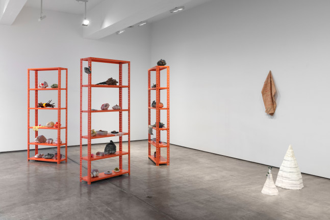 Installation view, Veronica Ryan, The Weather Inside, September 7 – October 19, 2019